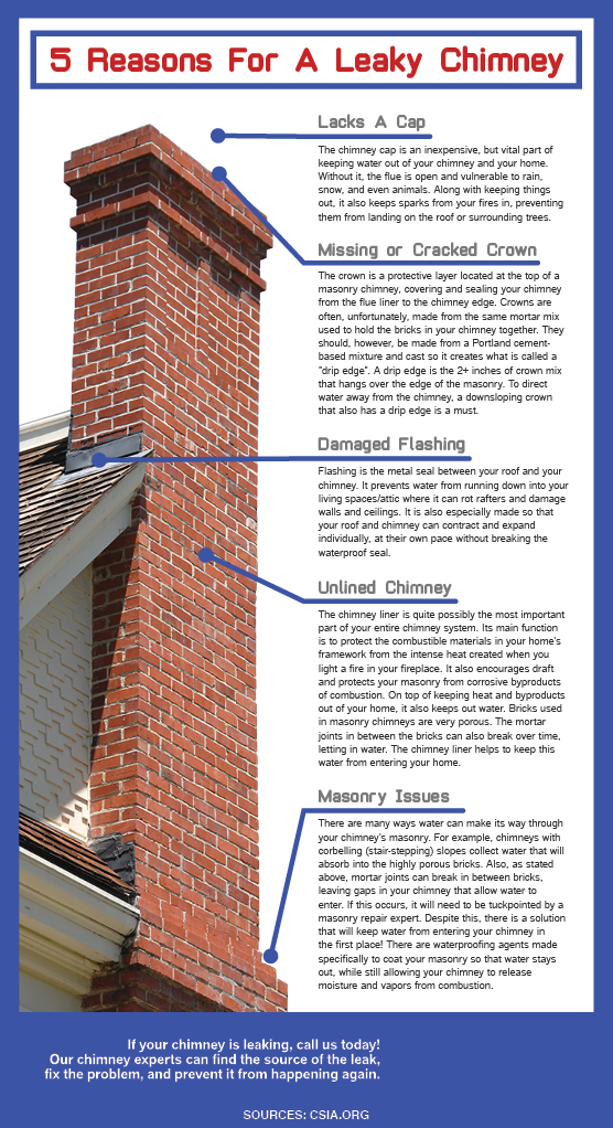 Leaky Chimney Infographic - Montgomery County PA - Wells & Sons Chimney Service