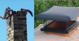 Protect Your Chimney with a Chimney Cap - Montgomery County PA - Wells Sons