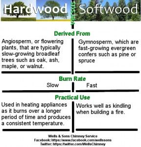 hardwood vs softwood infographic