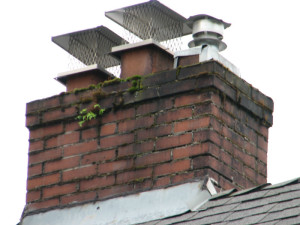 Why You Need A new Chimney Cap- Pottstown PA - Wells & Sons Chimney Service
