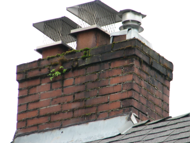 Why You Need A New Chimney Cap