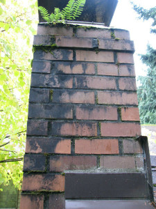 Why You Should Not Neglect Your Chimney - Pottstown PA - Wells & Sons Chimney Service