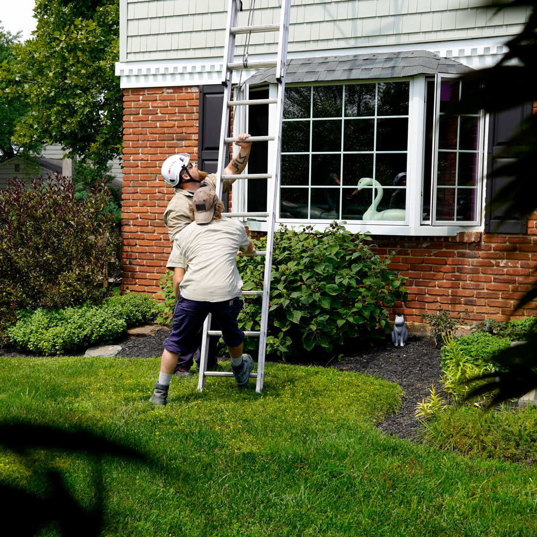 spring-chimney-inspection