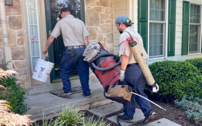 chimney repairs in Montgomery PA